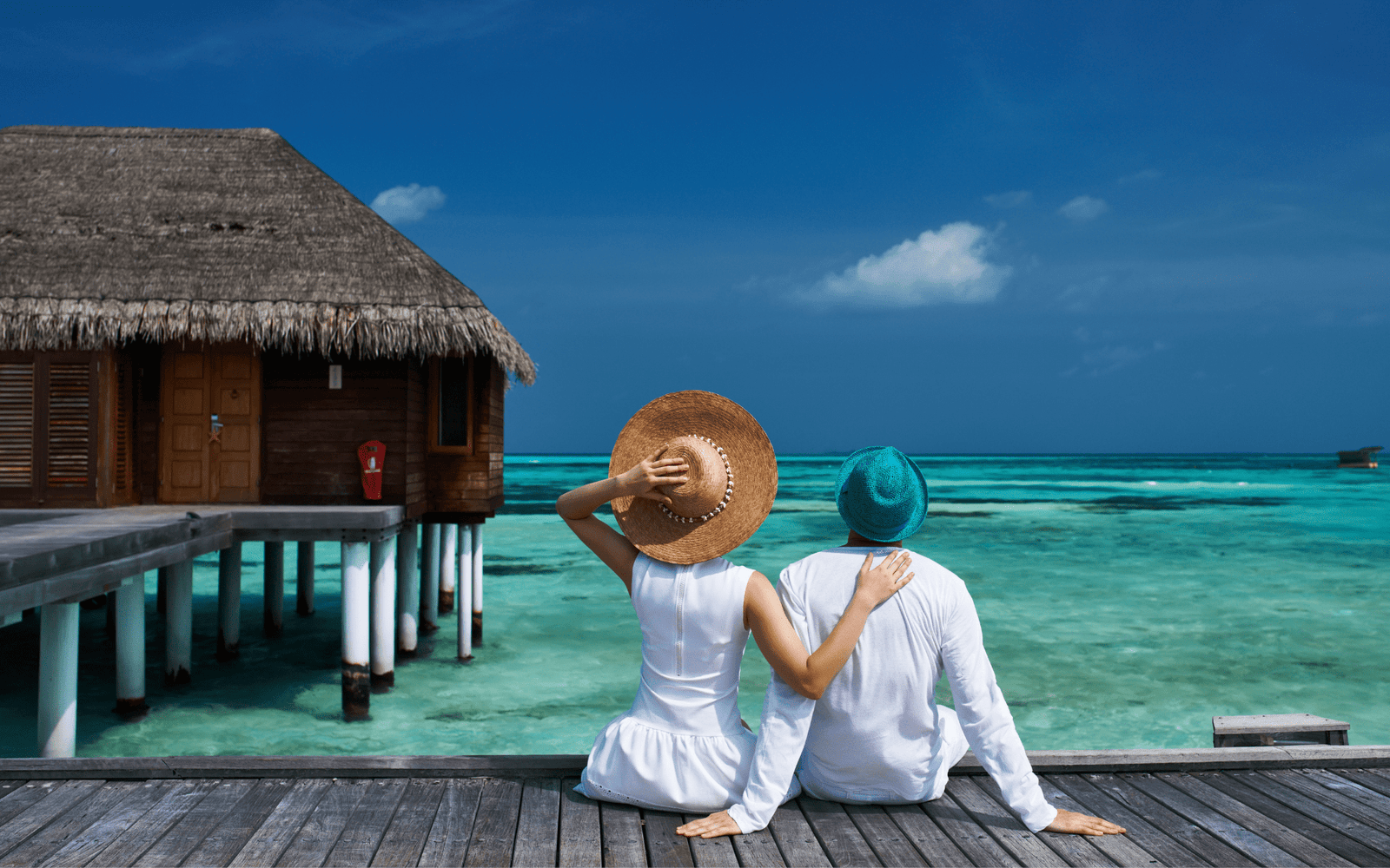 Untitled design - 2024-08-17T155241.584-min